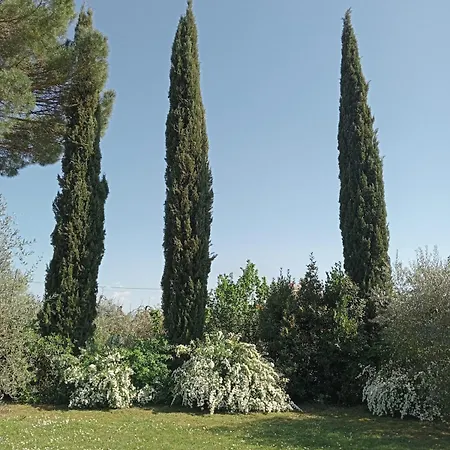 Villa Ines With Pool And Jacuzzi Hot Tube