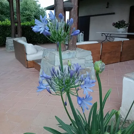 Ines With Pool And Jacuzzi Hot Tube Villa